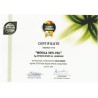 Mekila Amorgion Premium (700ml) - Αμόργιον